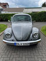Volkswagen VW Käfer Jubi Sondermodell, 99% original - Volkswagen Käfer: Kleinwagen