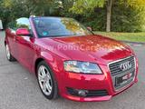 Audi A3 1.6 Cabriolet Ambition*1.HAND-EURO 4-ALU-WR* - Audi A3 aus 2009: Ambition