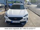 Cupra Formentor  2.0 TDI 4Drive DSG ACC PD PDC - Cupra Formentor in Hagen