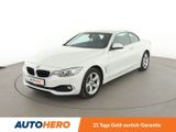 BMW 4er 428i xDrive - BMW: Cabrio, Er