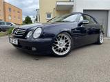 Mercedes-Benz CLK 230 KOMPRESSOR ELEGANCE Elegance - Mercedes-Benz CLK 230: Cabrio