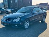 Mercedes-Benz CLK 280|CABRIO|HARMAN KARDON|AVANTGARDE|LEDER - blaue Mercedes-Benz CLK-Klasse