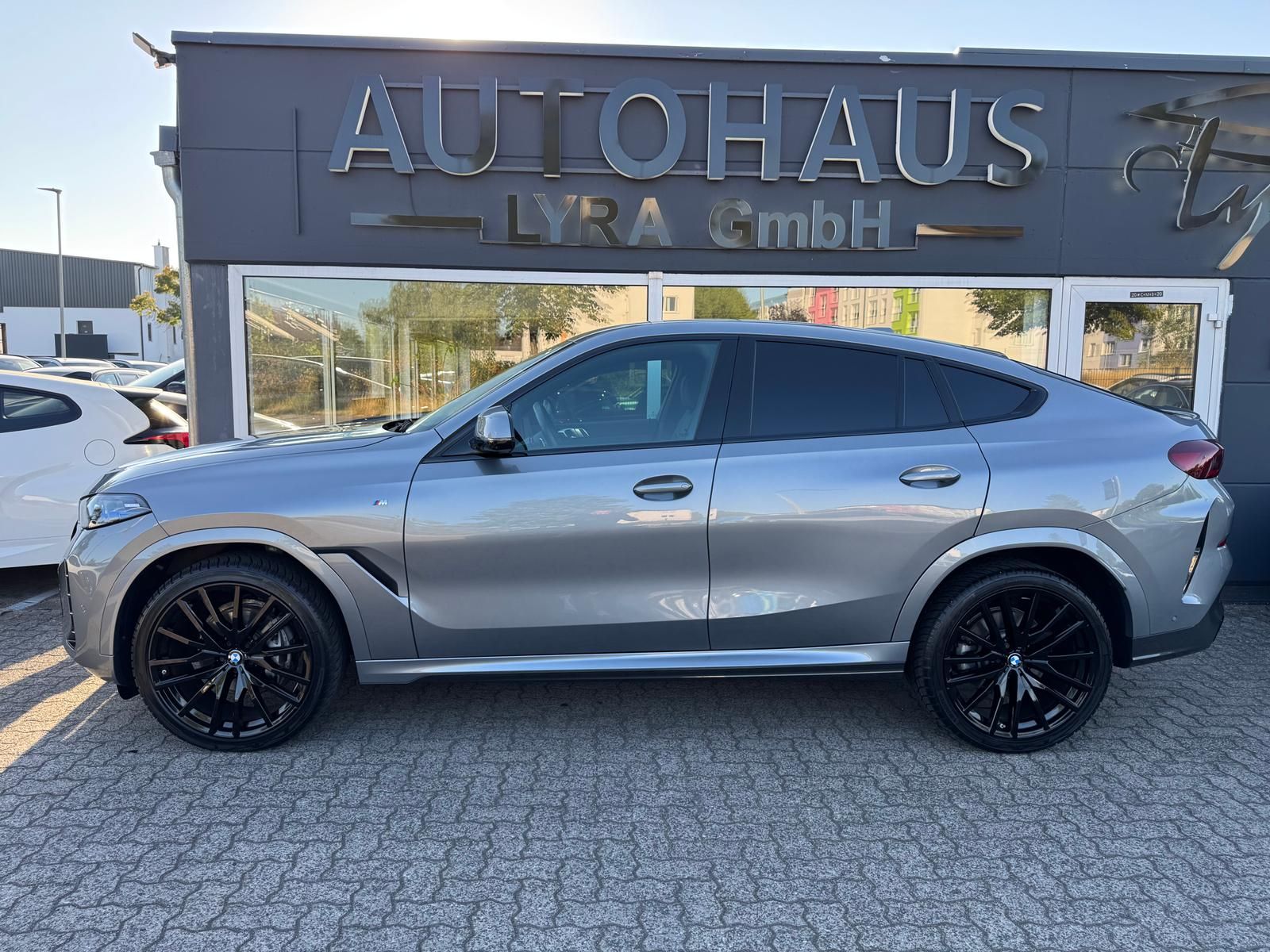 BMW X6 30d xDrive M-Sport LED PANO H&K 360°KAM HUD foto 4