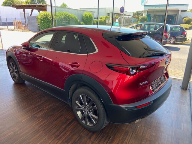 Fahrzeugabbildung Mazda CX-30 Selection 2WD , e-SKYAKTIV X , NAVI+RFK