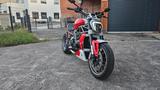 Ducati XDiavel Sonderumbau Kennz.halter/Miniblinker - DUCATI XDIAVEL