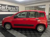 Fiat Panda 1.2 KLIMA PDC ISOFIX EL. FENSTERHEBER - Fiat Panda: 1.1