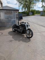 Harley-Davidson V Rod Muscle Vrscf/ Preis 22900€ VB - HARLEY-DAVIDSON V ROD MUSCLE VRSCF