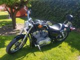 Harley-Davidson Harley  Sportster 883 - HARLEY-DAVIDSON 2009 883