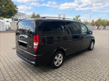 Mercedes Viano - 5