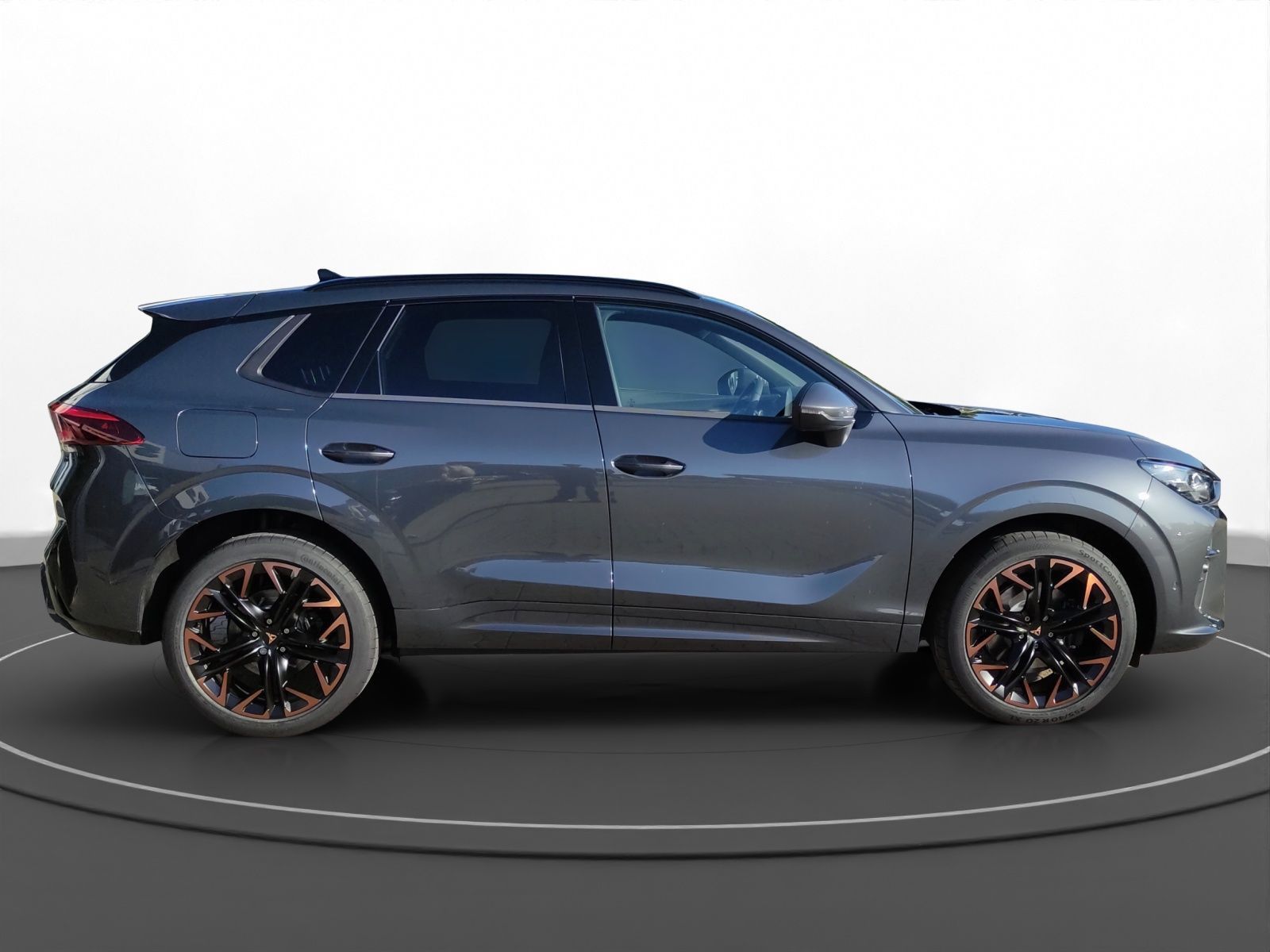 Cupra Terramar - Bild 7