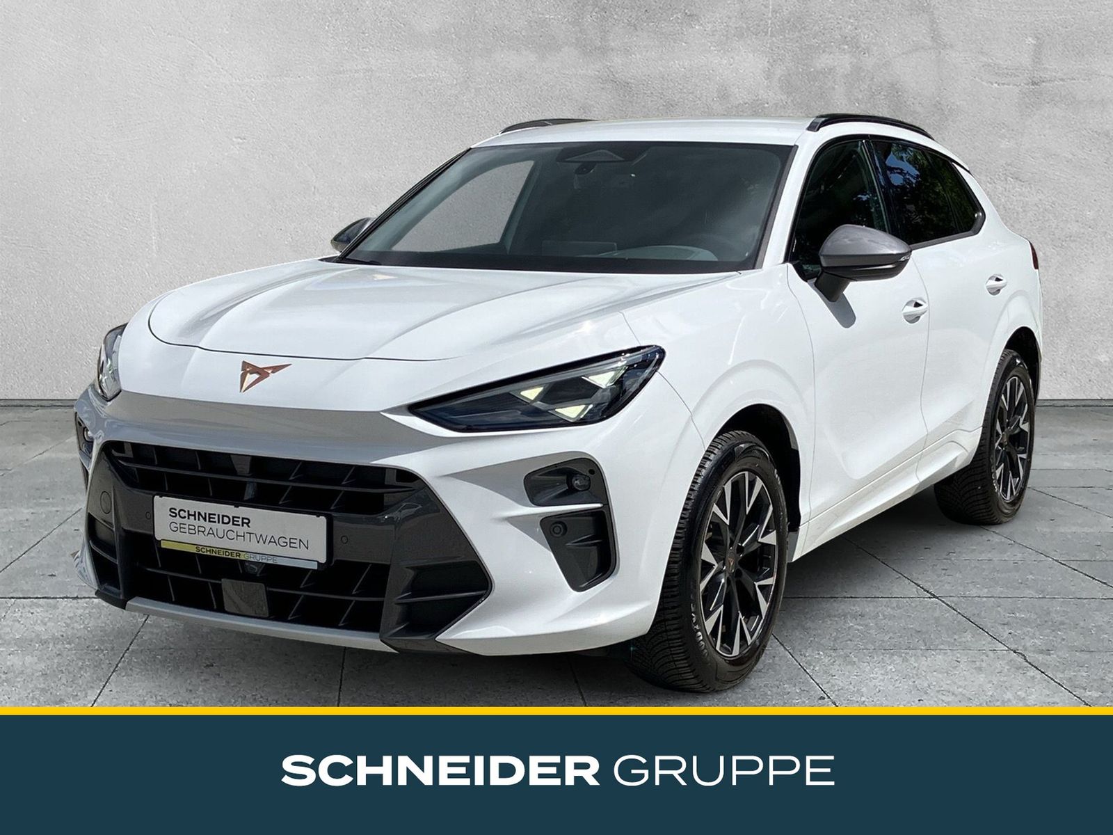 Cupra Terramar - 1
