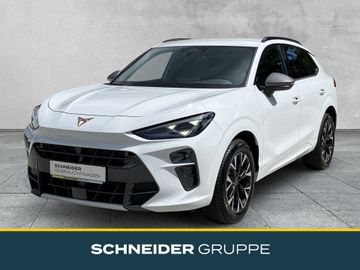 Cupra Terramar - 1