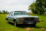 Ford LTD Oldtimer Ami V8 - Ford: Ltd