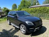 Mercedes-Benz ML 350 BlueTEC 4MATIC - - Mercedes-Benz ML 350 Gebrauchtwagen in Hamburg