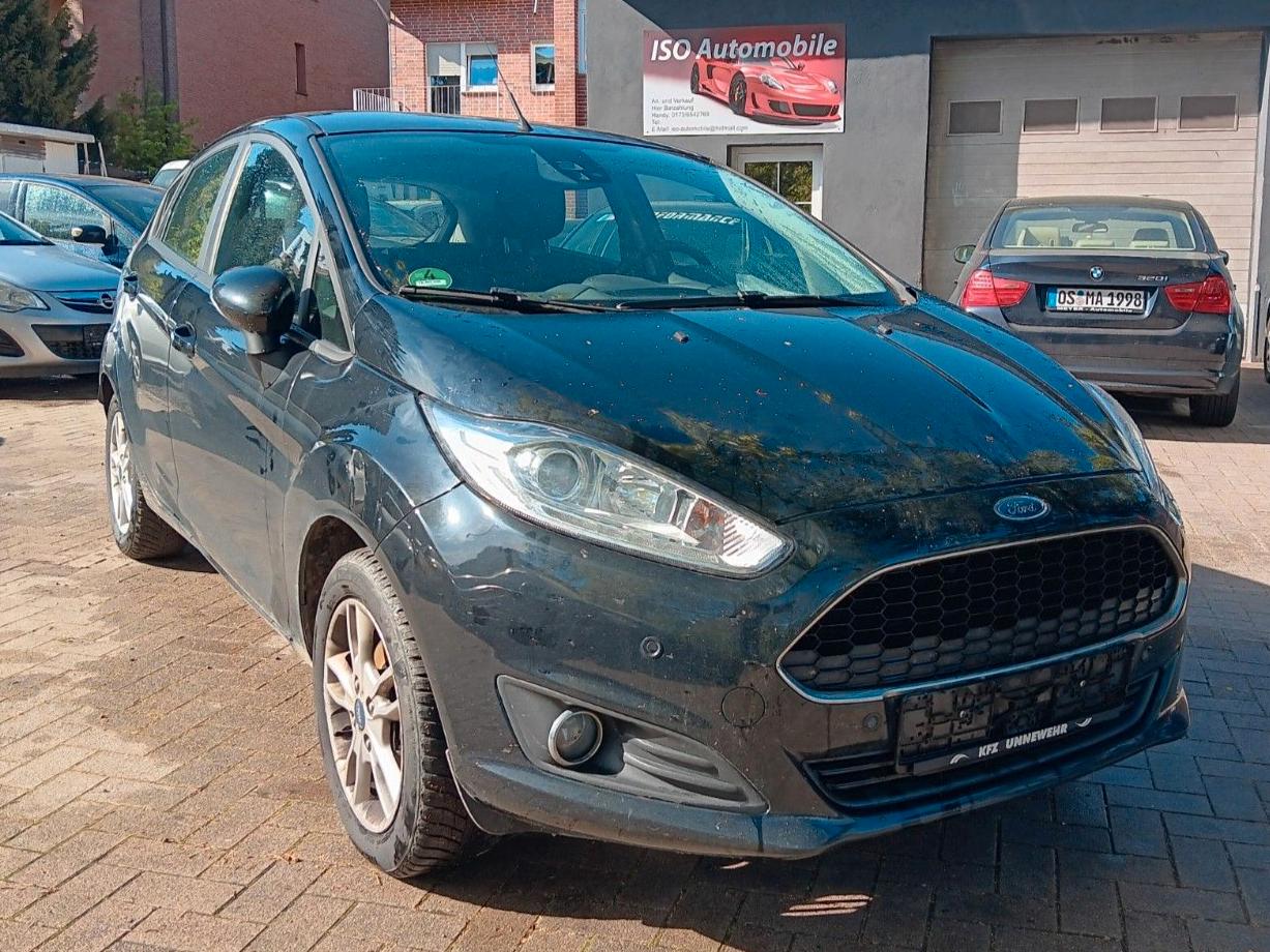 Ford Fiesta Celebration