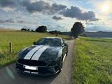 Ford Mustang 5.0 Ti-VCT V8 Bullitt Bullitt - Ford Mustang Bullitt mit Benzin-Antrieb