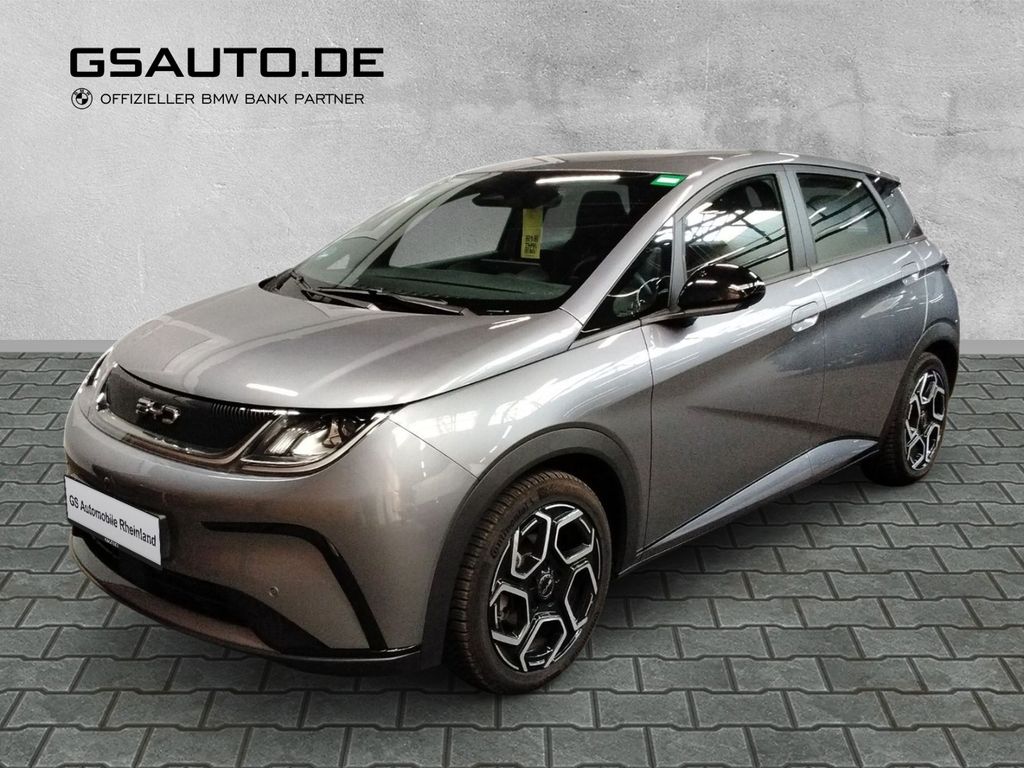 Image of BYD DOLPHIN