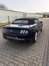 Ford Mustang 5.0 V8 GT Convertible EU Modell - Ford Mustang Gebrauchtwagen in Köln