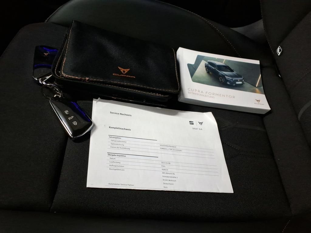 Cupra Formentor 1.5 TSI Klima*Tempo*PDC*RFK*SH