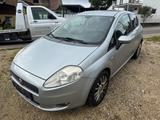 Fiat Punto 1.4 8V Dynamic - Fiat Punto Dynamic mit Benzin-Antrieb