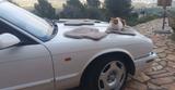 Jaguar XJR 4.0 XJR