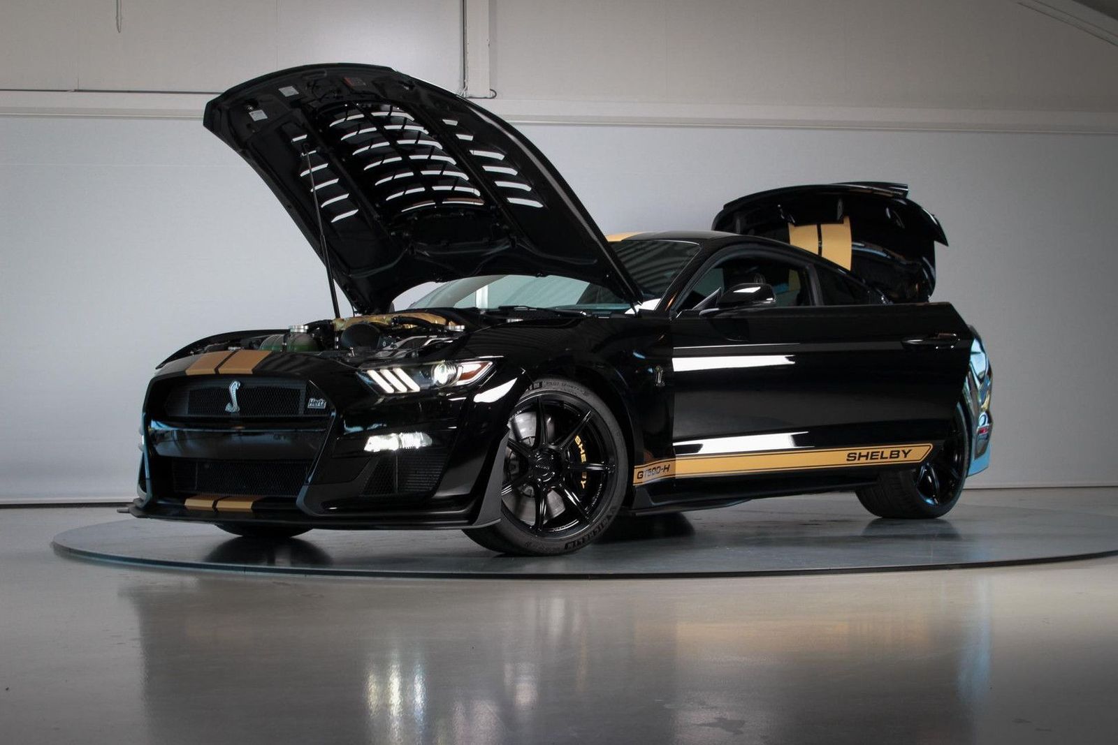 Ford GT Shelby GT500-H Hertz | 1 of 5 | 2890 km | Exe imagem 2