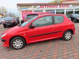 Peugeot 206 Grand Filou Cool Klima - Peugeot 206: Rot
