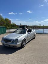 Mercedes-Benz CLK 320 ELEGANCE Elegance - Mercedes-Benz CLK 320 aus 1999: Cabrio