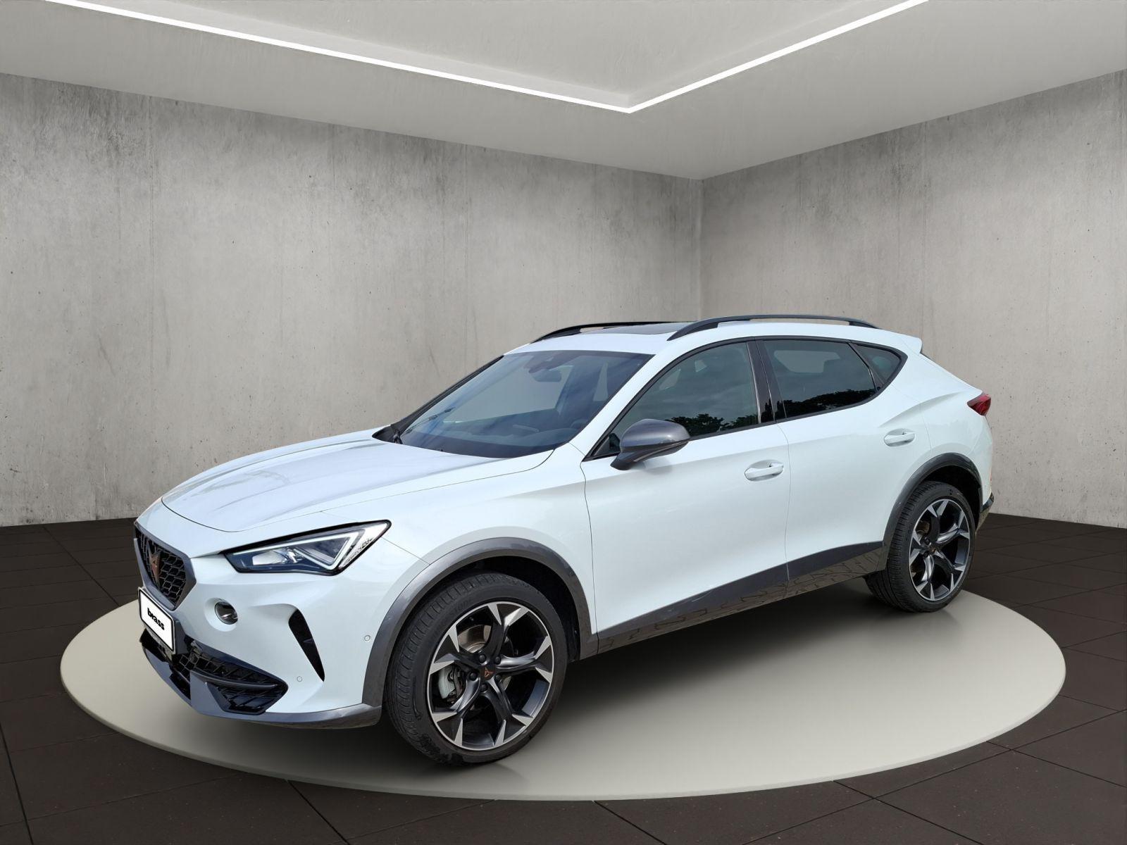 Cupra Formentor 1.5 TSI, Schiebedach, Sitzheizung, 19