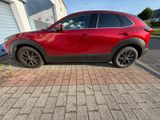 Mazda CX-30 2.0 e-SKYACTIV-X M-Hybrid - - Mazda CX-30: Privatanbieter