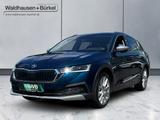 Skoda Octavia Combi 2.0 TDI DPF Scout 4x4 *HEAD-UP - Skoda Octavia in Mönchengladbach