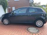 Fiat Punto Evo1.2 8V Active (Garagenfahrzeug), Top! - Fiat Punto Evo Gebrauchtwagen