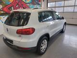 Volkswagen VW Tiguan 1.4 TSI Cup Sport & Style | Pano | Xen - VW Tiguan bis 10.000 Euro