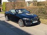BMW 220i Cabrio Luxury Line - top Zustand - 8 x Alu - BMW: 2.8