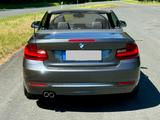 BMW 228i Cabrio BJ 2015 Automatik 75.000 km - BMW: Cabrio, 7