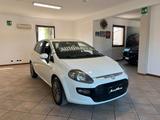 Fiat Punto Evo 1.4 5 porte CAMBIO AUTOMATICO - weiße Fiat Punto Evo