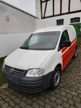 Volkswagen Caddy Life 2.0 SDI LKW Zulassung  - Volkswagen Caddy: Lkw Zulassung