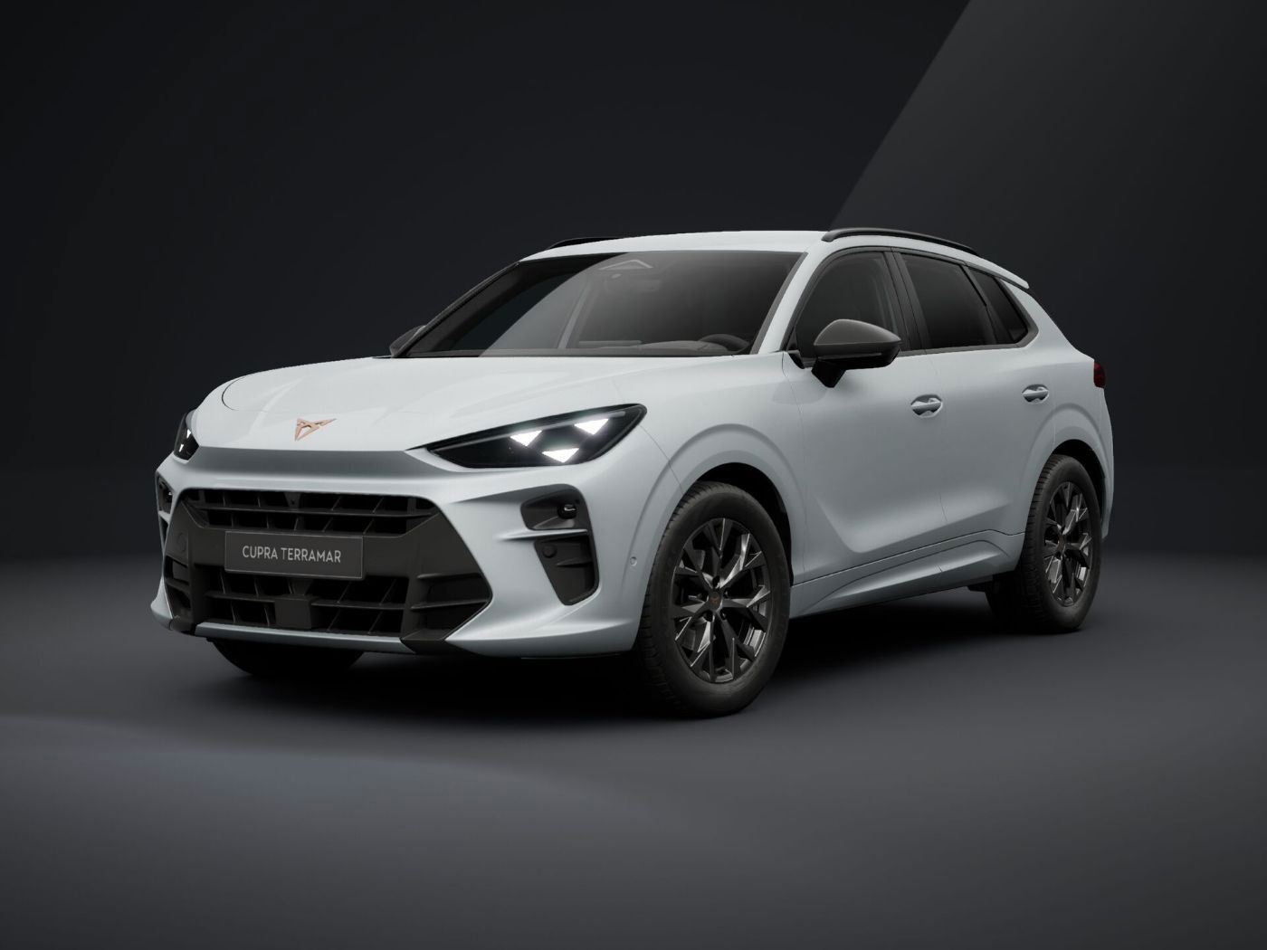 Cupra Terramar - Bild 2