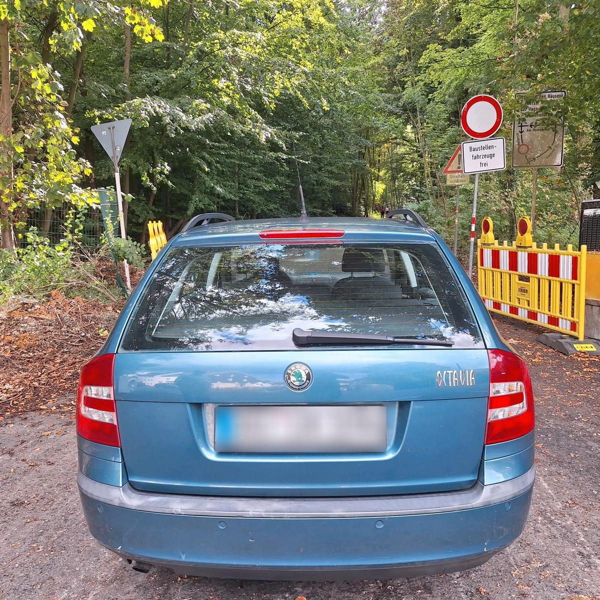 Skoda Octavia 2005 — photo 5