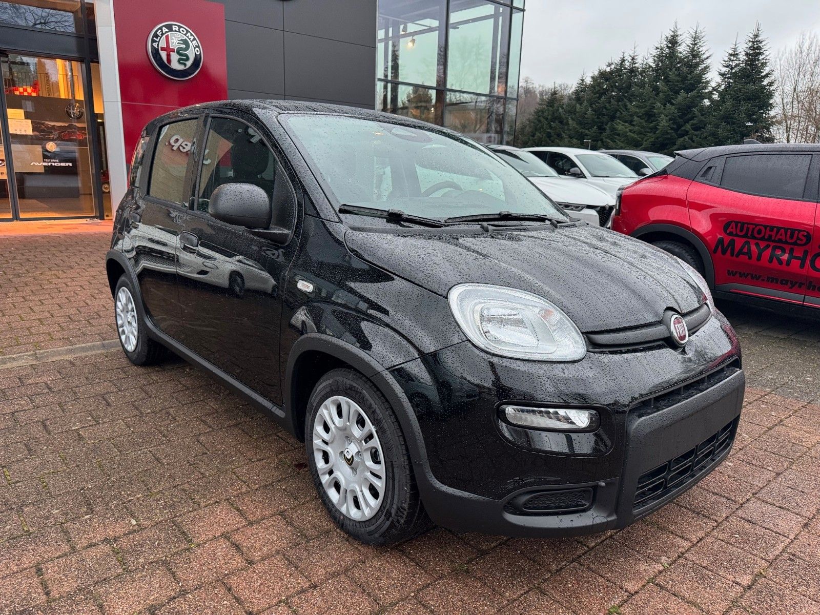 Fahrzeugabbildung Fiat Panda Hybrid 1.0 GSE DAB Tempomat