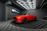 Ford Mustang Shelby GT California Special PREMIUM LED - Ford Mustang: Special
