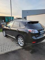 Lexus RX 350 4WD Executive Line AHK LPG TOP-ZUSTAND  - Lexus RX 350 aus 2010