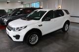 Land Rover Discovery Sport Pure 2.0 eD4 Diesel * EURO 6 * - Land Rover Discovery in Bochum