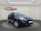 Fiat FIAT PUNTO 1.2*Euro 6*KLIMA*SERVICE NEU*5 Türig* - Fiat Punto: Punto2