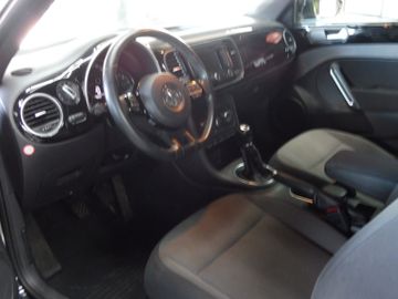 Volkswagen Beetle - 10