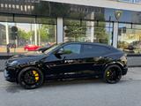 Lamborghini NEUE REIFEN+INSPEKTION | Panoramadach | 23-Zoll - Lamborghini in Düsseldorf