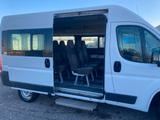 Fiat Ducato 33 2.3 MJT 130CV PM-TM Panorama flex - Fiat Ducato: 8 Sitzer