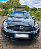 Volkswagen VW NEW BEETLE, top zuverlässig, TÜV bis No... - Volkswagen New Beetle mit Benzin-Antrieb: Limousine