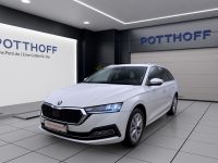 Skoda Octavia - Vorschau Bild 2