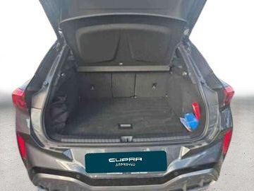 Cupra Terramar - 5